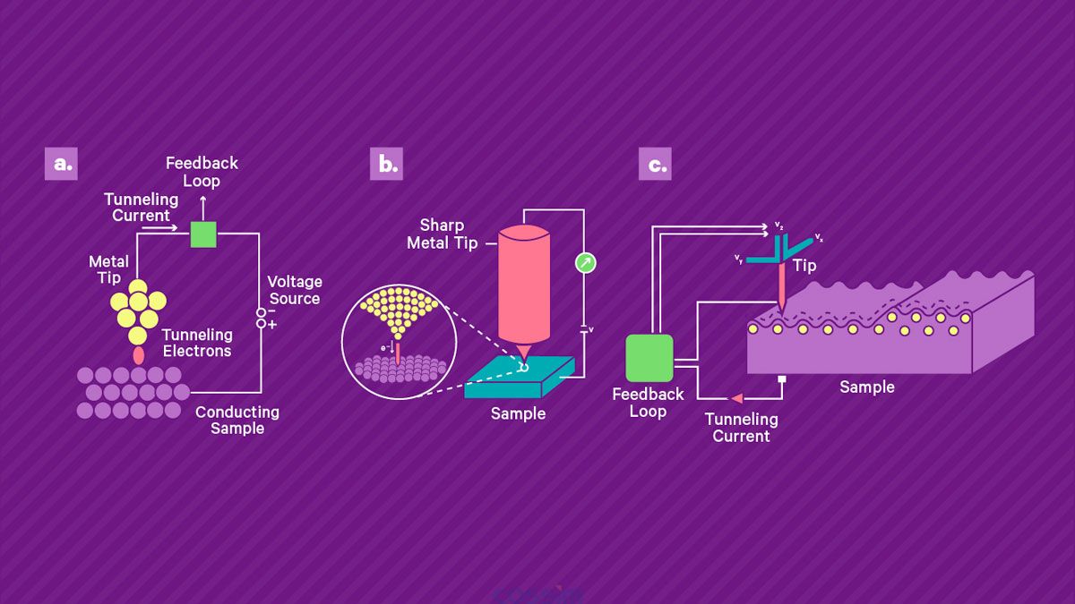 掃描隧道顯微鏡的工作原理。 a) 將鋒利的導(dǎo)電尖端靠近導(dǎo)電樣品表面并施加偏置電壓，從而產(chǎn)生穿過(guò)間隙的小隧道電流。 該電流由高增益放大器讀出。 b) 壓電掃描系統(tǒng)用于控制尖端與表面的分離并在表面上掃描尖端。 當(dāng)尖端保持在恒定高度時(shí)，電流幅度可用作尖端表面分離的直接測(cè)量，從而實(shí)現(xiàn)地形成像。 或者，可以使用反饋回路通過(guò)改變定位系統(tǒng)的控制電壓來(lái)保持恒定電流，該控制電壓被記錄下來(lái)并產(chǎn)生樣品上的形貌和電子密度的測(cè)量值。