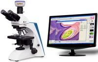 BK系列臨床、實驗室生物顯微鏡